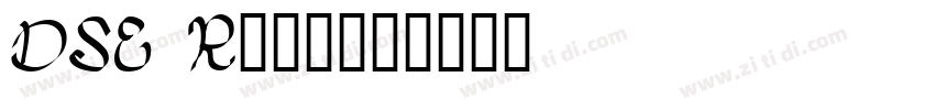 DSE Ribbon字体转换